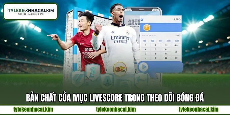 Bản chất của mục LiveScore trong theo dõi bóng đá