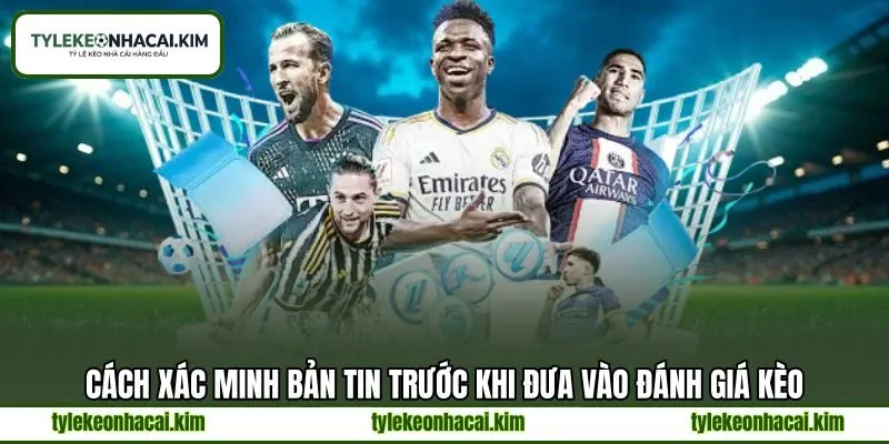 Cách xác minh bản tin trước khi đưa vào đánh giá kèo