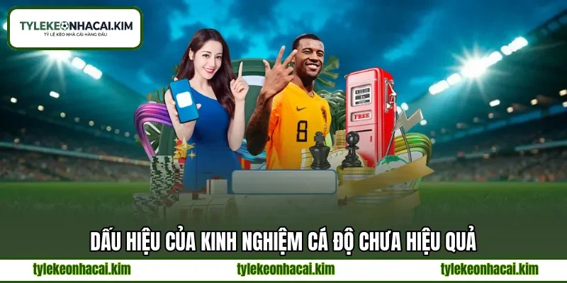 Dấu hiệu của kinh nghiệm cá độ chưa hiệu quả