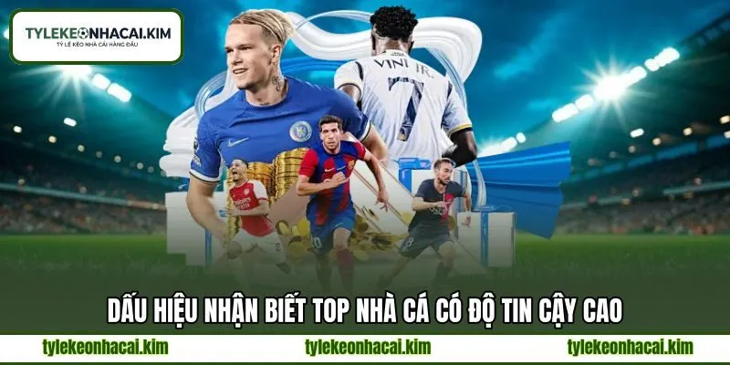 Dấu hiệu nhận biết top nhà cá có độ tin cậy cao