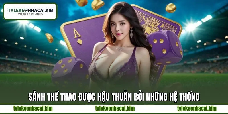 Sảnh thể thao được hậu thuẫn bởi những hệ thống