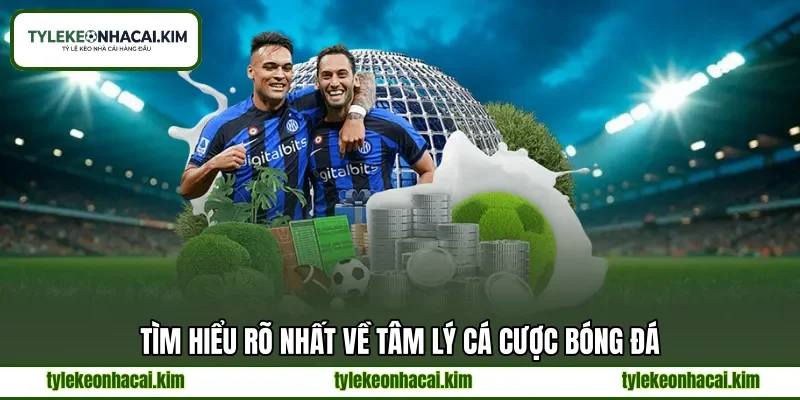Tìm hiểu rõ nhất về tâm lý cá cược bóng đá