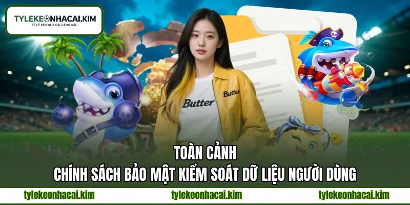 Toàn cảnh chính sách bảo mật kiểm soát dữ liệu người dùng